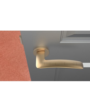Puxador de porta ouro mate ROBINE ferragens design vista de cima montado numa porta