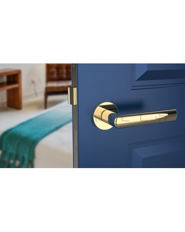 Puxador de porta ouro polido SILENA ferragens design vista de frente montado numa porta