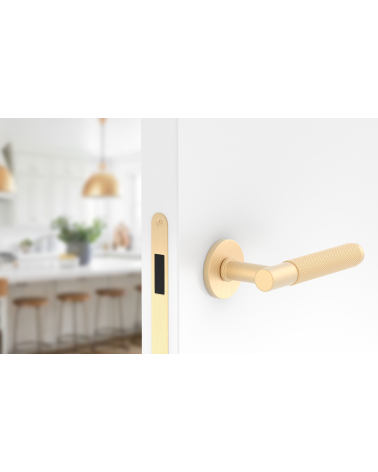 Puxador de porta dourado acetinado Time Slim puxador design montado numa porta