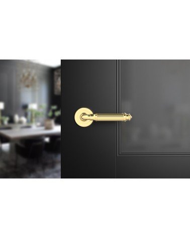 Puxador de porta dourado polido ARIA Slim design vista de frente montado numa porta