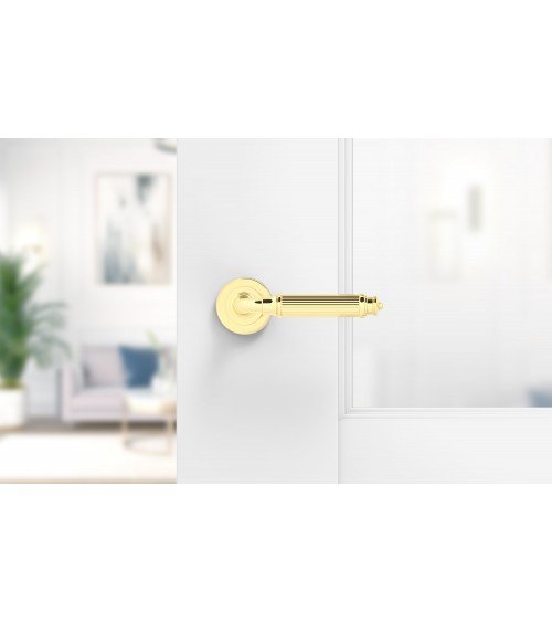 Puxador de porta dourado polido ARIA Slim design