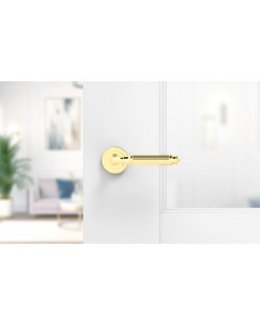 Puxador de porta dourado polido ARIA Slim design montado numa porta