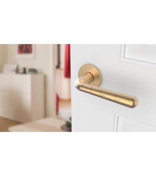 Puxador de porta dourado acetinado IRGA puxador design