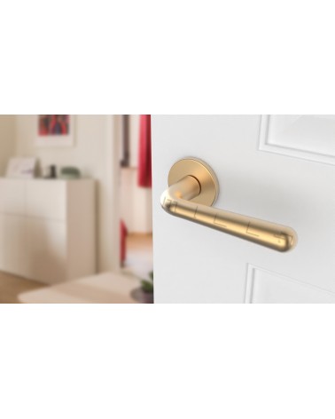 Puxador de porta Ouro Acetinado IRGA puxador design vista de frente montado numa porta