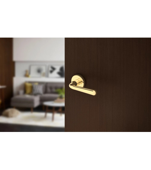 Puxador de porta ouro polido HANDY puxador design