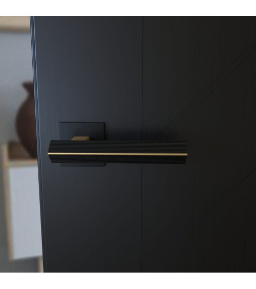 Puxador de porta bicolor ouro mate/preto CARRERA puxador design