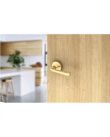 Puxador de porta retro HANDY design ligeiramente inclinado montado numa porta