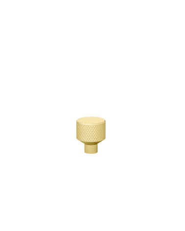 Botão de móvel dourado mate GRETA puxador design