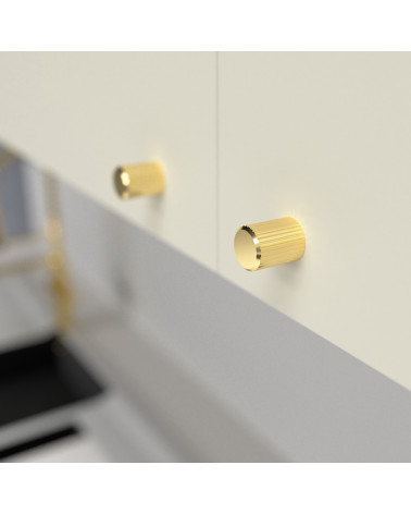Botão de móvel dourado polido AVANTI puxador design fixado num móvel