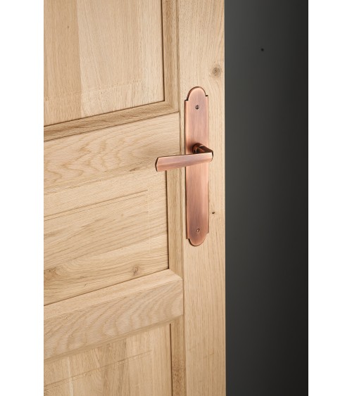 Puxador de porta moderno em placa Latão - MADE IN FRANCE - puxador design