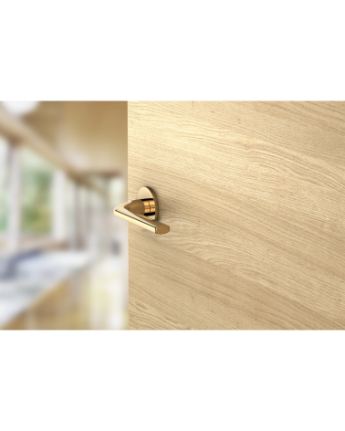 Puxador de porta ouro polido Scandi slim ferragens design montado numa porta