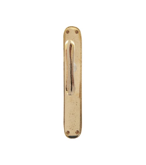 Puxador de porta ouro polido em placa longitudinal original PHTT 40 - puxador design