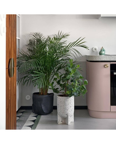 Puxador de móvel dourado mate TOVE design visto de frente montado num móvel de cozinha com planta verde