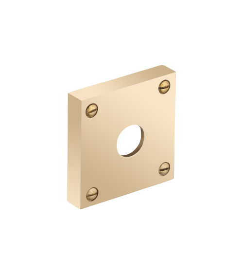 Escudo quadrado espesso com parafusos aparentes - buraco de alavanca - R354TB