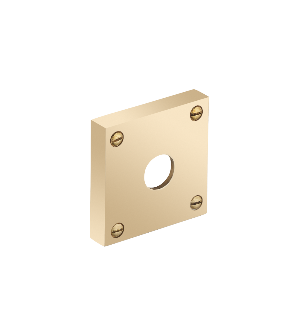Escudo quadrado espesso com parafusos aparentes - buraco de alavanca - R354TB