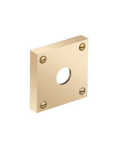 Escudo quadrado espesso com parafusos aparentes - buraco de alavanca - R354TB