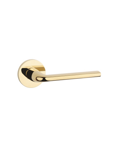 Puxador de porta dourado polido OLEANDRO ferragens design
