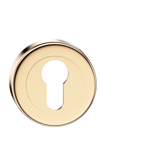 Roseta de porta chave i ouro polido CO R OB puxador design