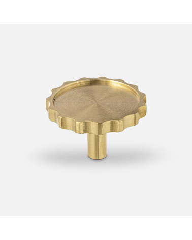Botão de móvel dourado polido LEXI design