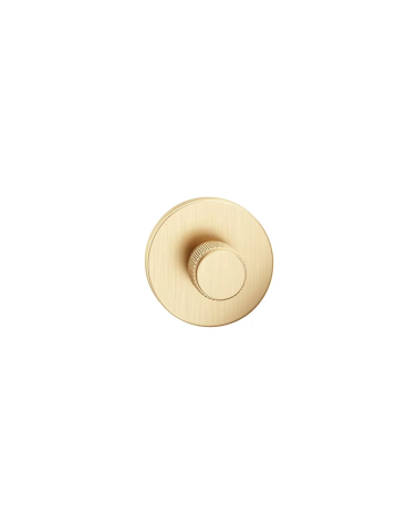 Escudo texturado ouro mate Time design visto de frente