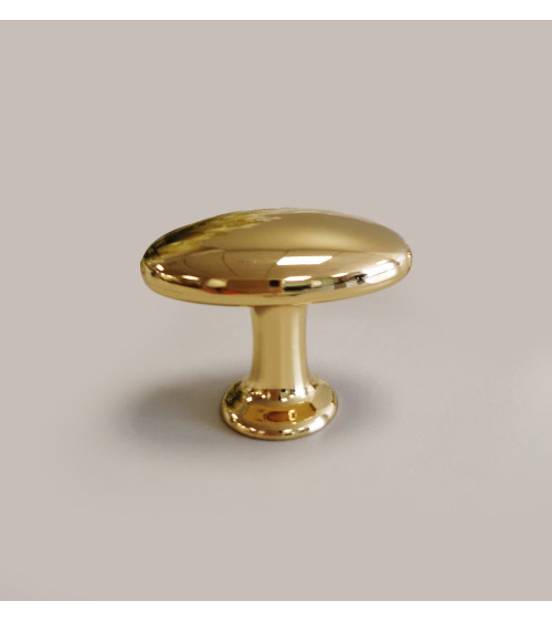 Botão de móvel dourado polido NAPOLI puxador design