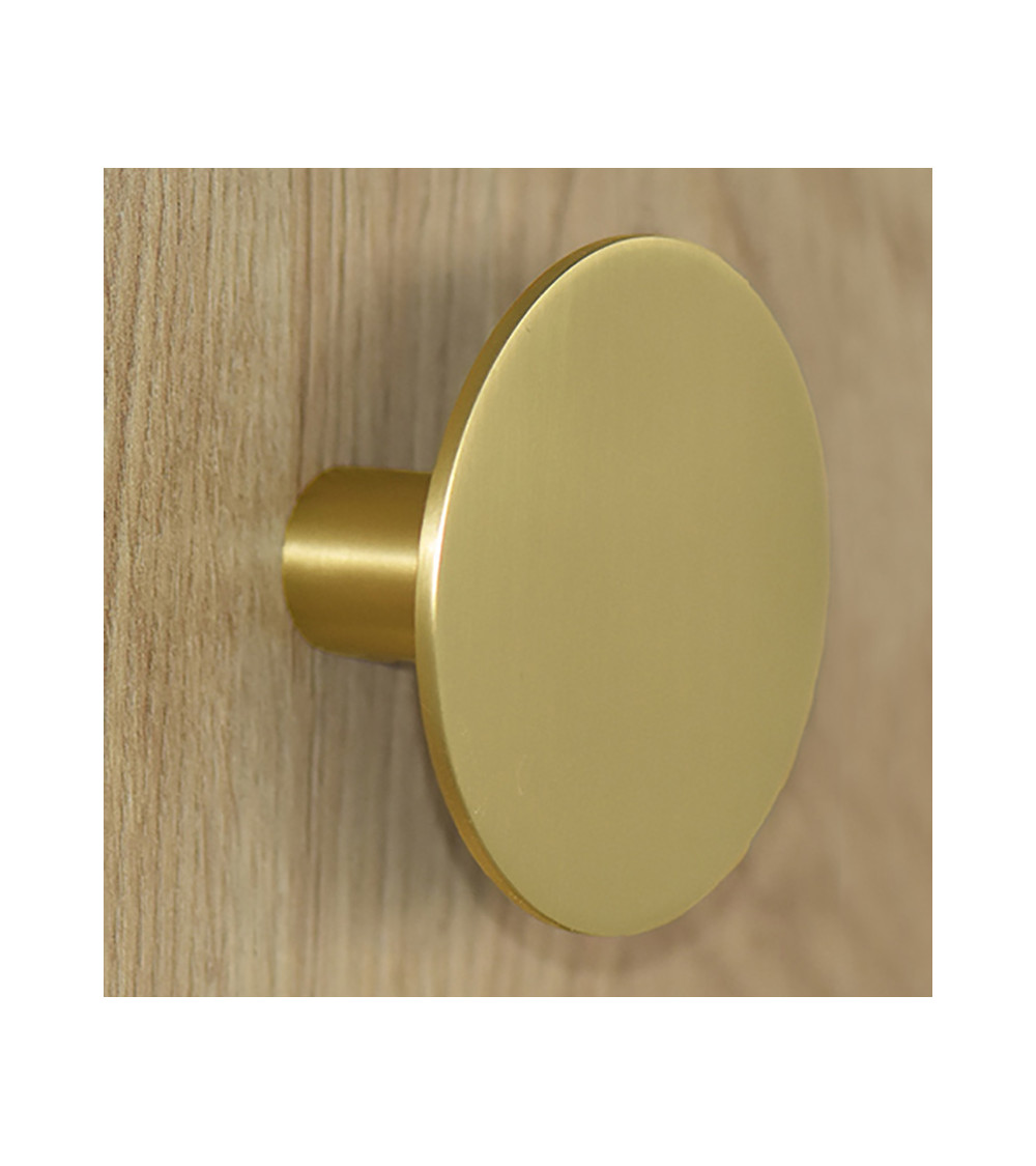 Cabide de parede disco Dourado acetinado D.80