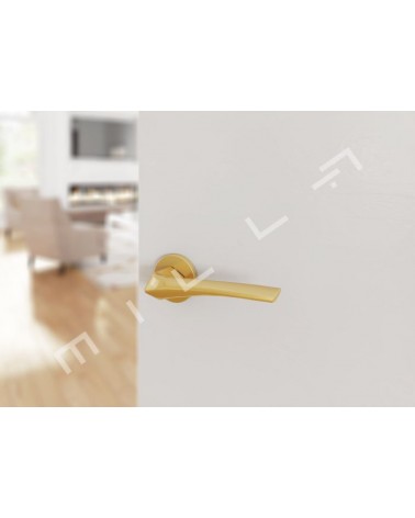 Puxador de porta dourado mate DALIA design montado numa porta 1