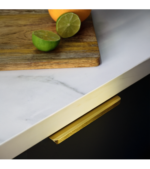 Puxador de móvel anodizado a ouro TERRA PRO puxador design