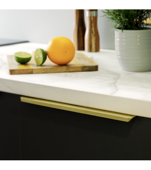 Puxador de móvel anodizado a ouro TERRA PRO puxador design