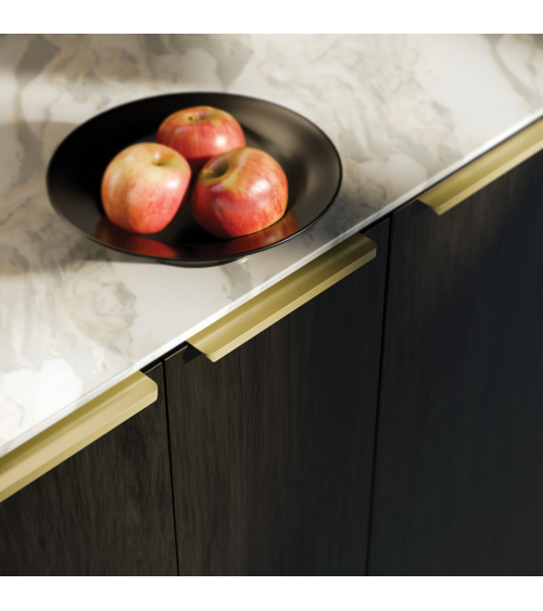 Puxador de móvel anodizado a ouro TERRA PRO puxador design