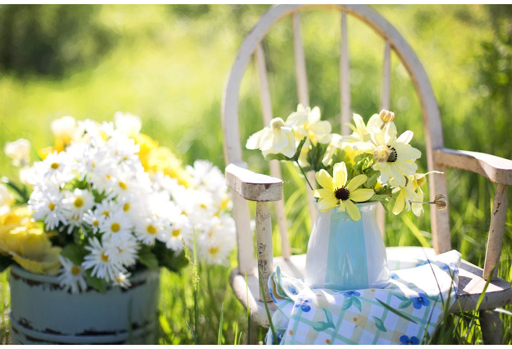 Como decorar facilmente o seu jardim?